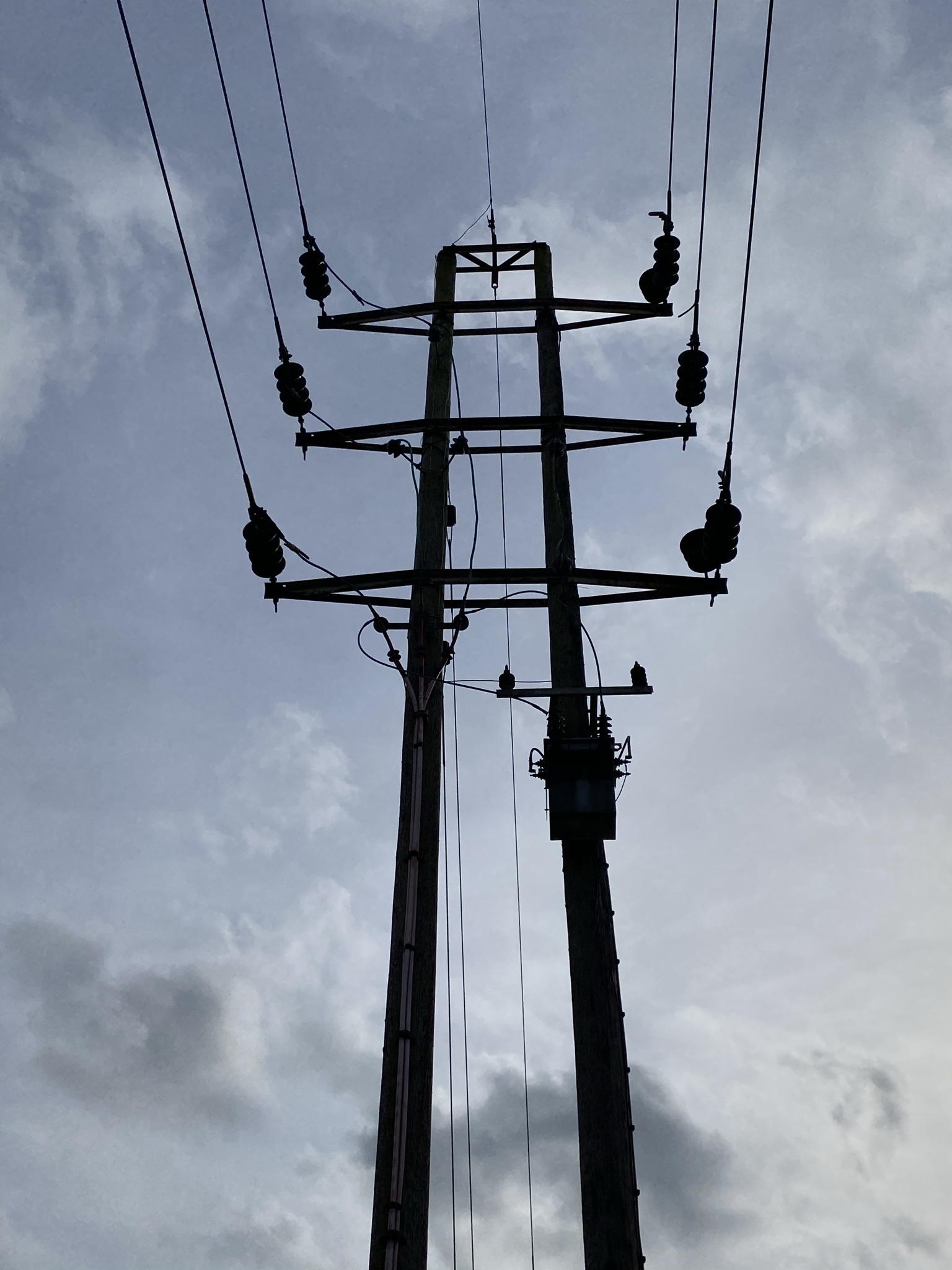 Overhead line training
